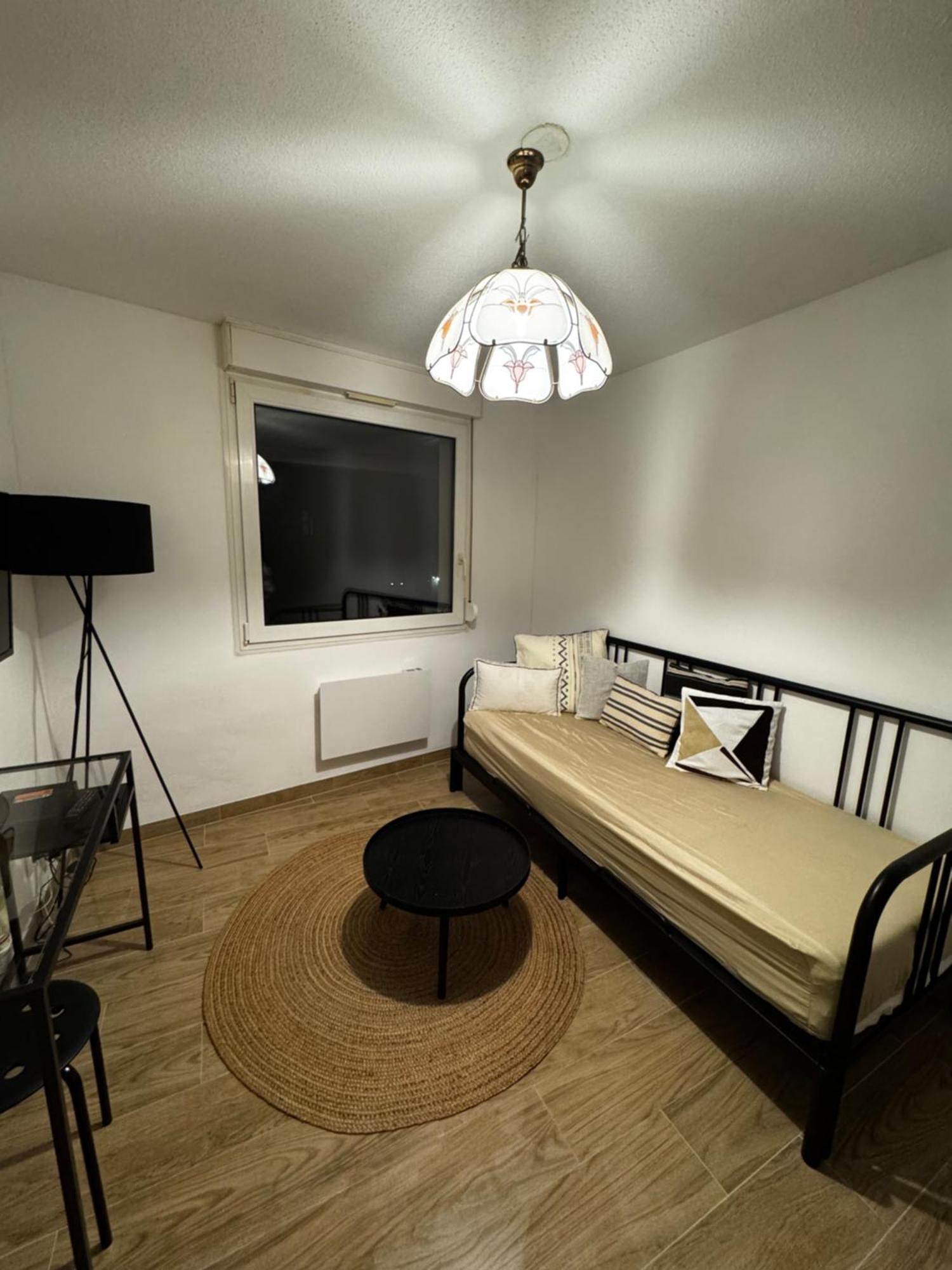 Le Sarsour Appartement Strasbourg Centre 외부 사진